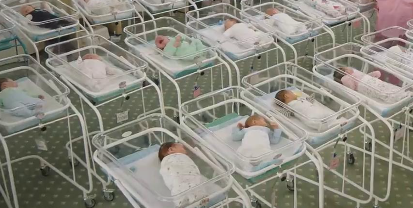 Ucraina. I bambini come prodotti dell’utero in affitto, in giacenza sotto le bombe 1